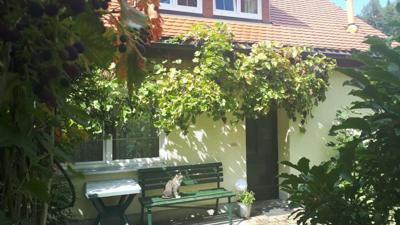 Ferienhaus Puttrich هونشتاين المظهر الخارجي الصورة